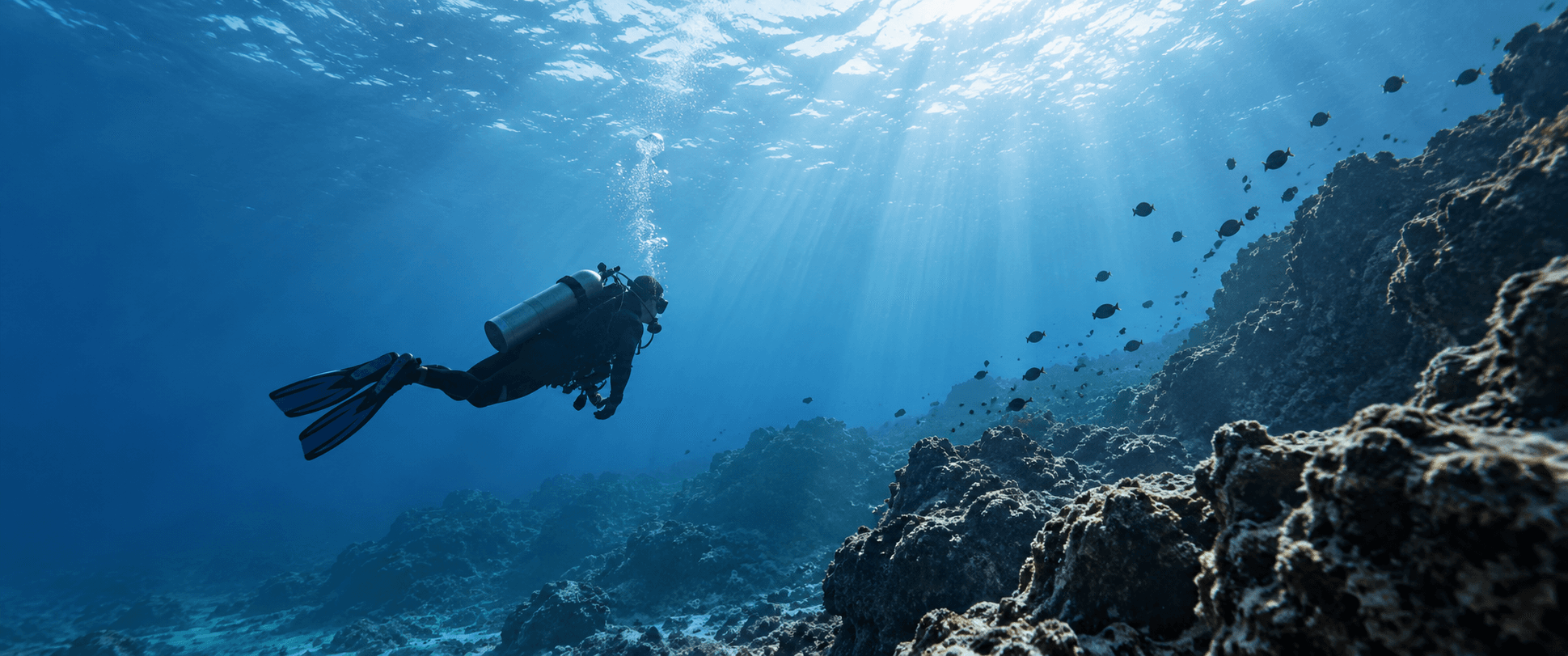Scuba diver descending along coral reef wall in Sri Lanka